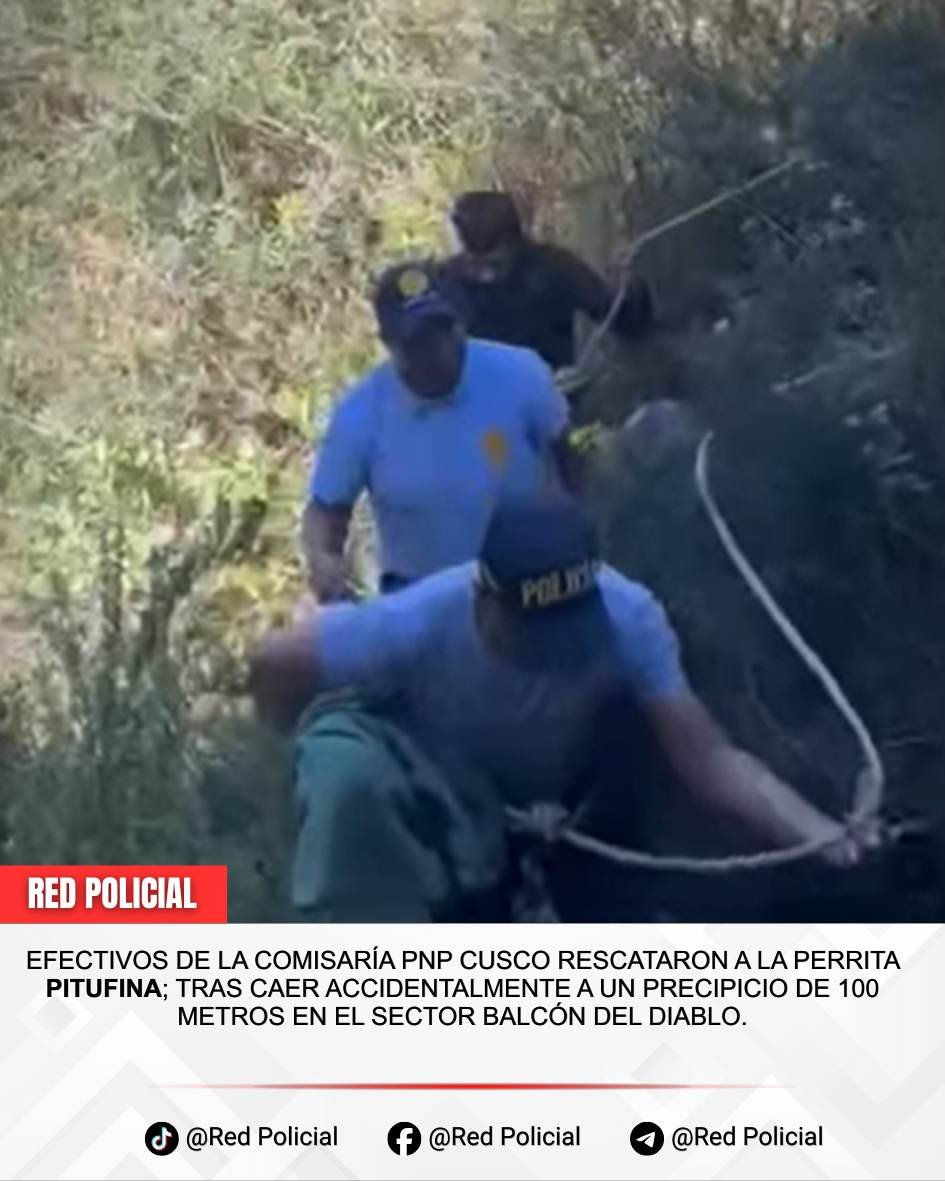 Imagen de publicación