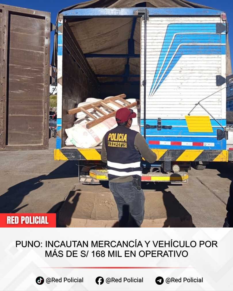Imagen: Puno: Incautan mercancía y vehículo por más de S/ 168 mil en operativo 