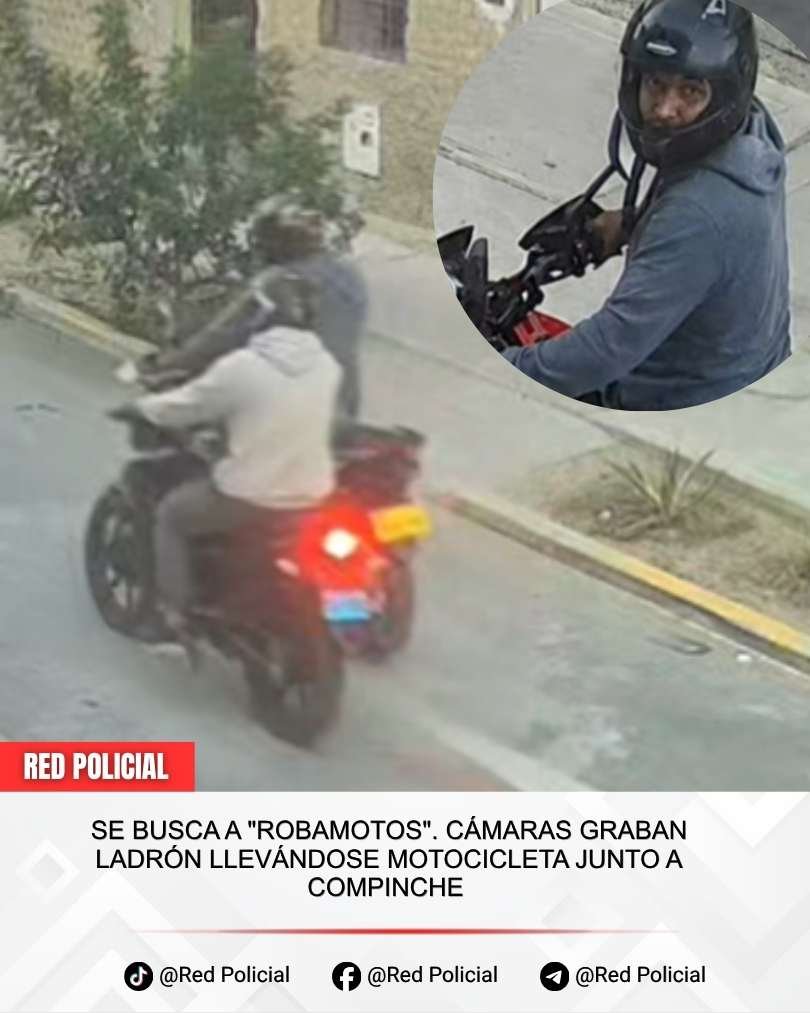 Imagen: SE BUSCA A "ROBAMOTOS". CÁMARAS GRABAN LADRÓN LLEVÁNDOSE MOTOCICLETA JUNTO A COMPINCHE  