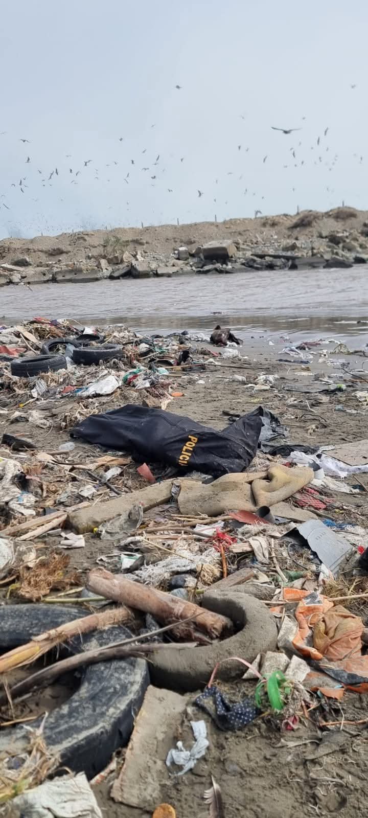 Imagen de publicación